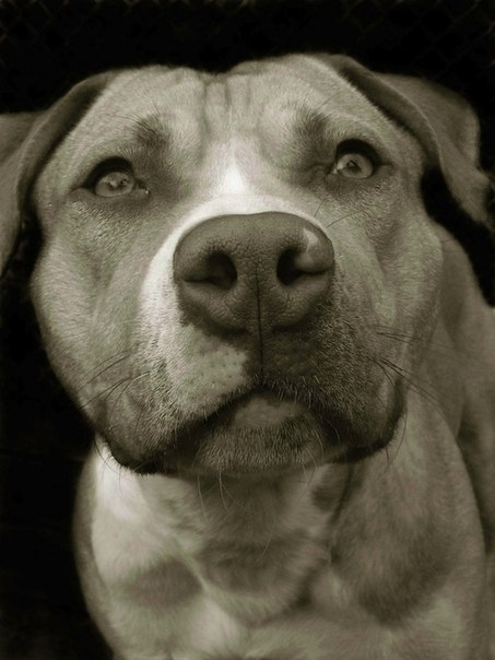 Колька Зюбин | Новая Каховка