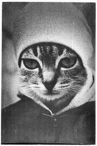 Эльдар Хамзин ..КОТяра.. | Сызрань