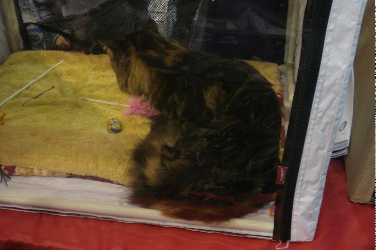 Иван Ушенин | Екатеринбург