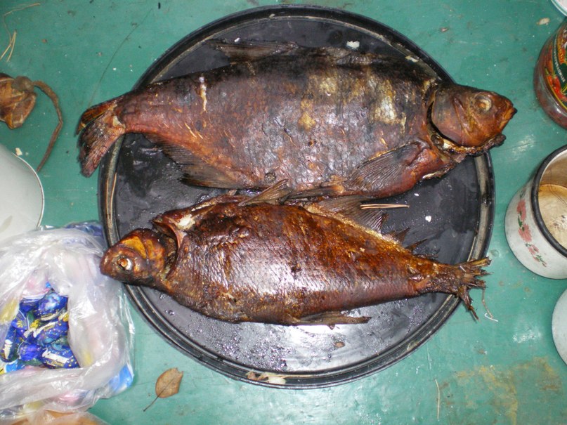 Антон Хмелевский (ЮРИЧ) | Дружная Горка