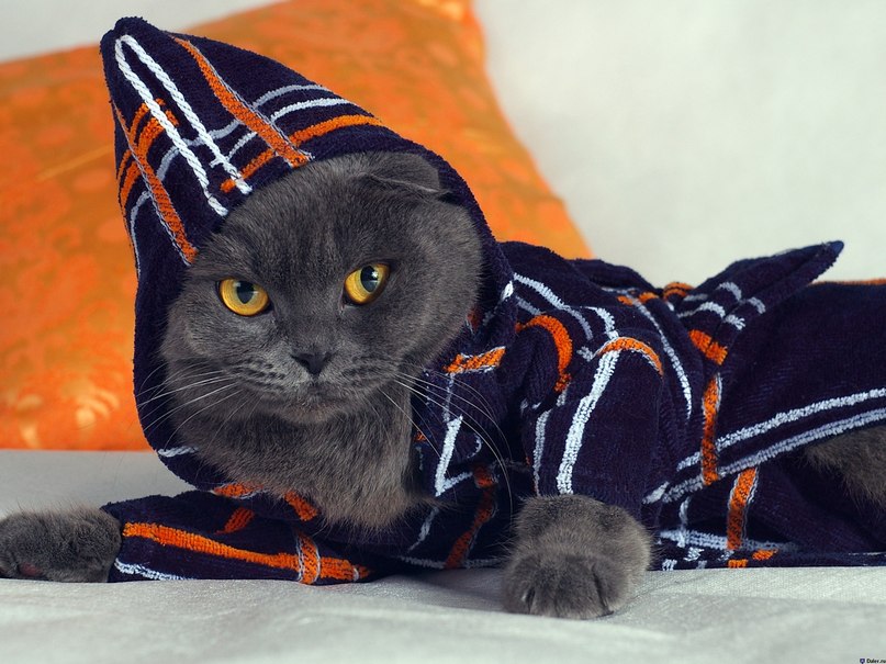 Aleksandr Kuchma | Тюмень