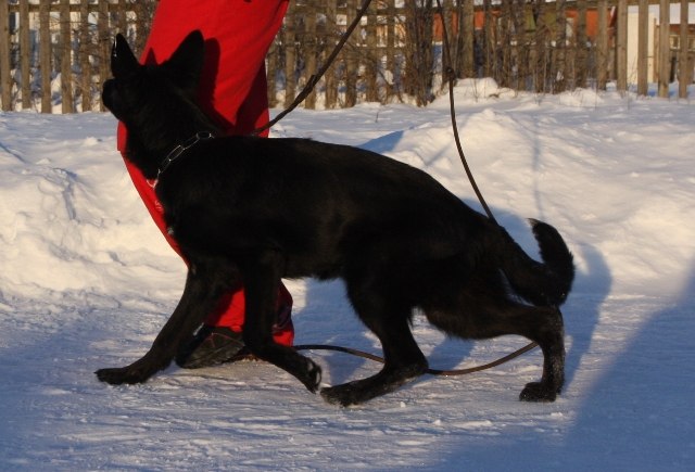 Нина Лазарева | Воскресенск