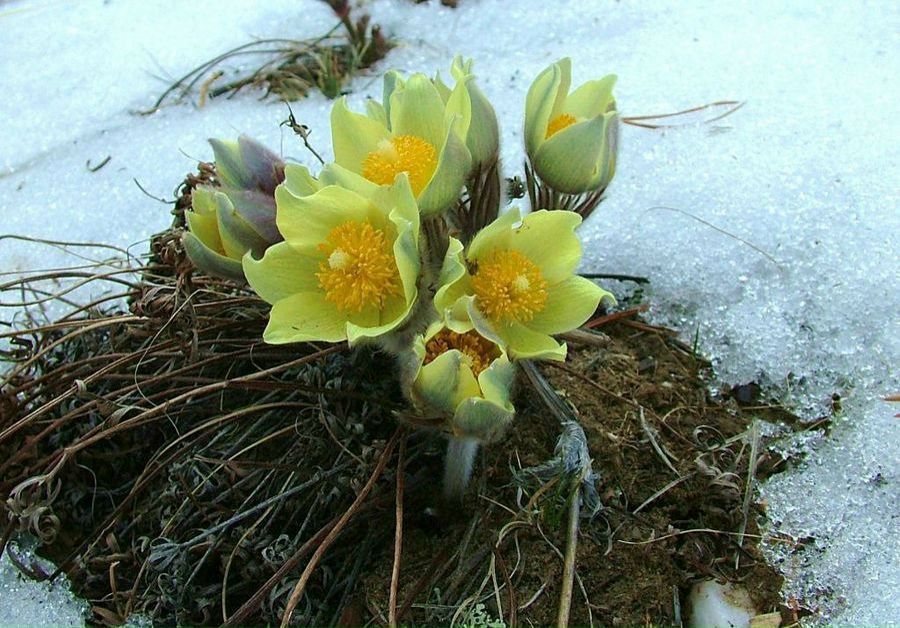 Сергей Хантимеров | Казань