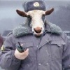 Аватар: Валера Супер