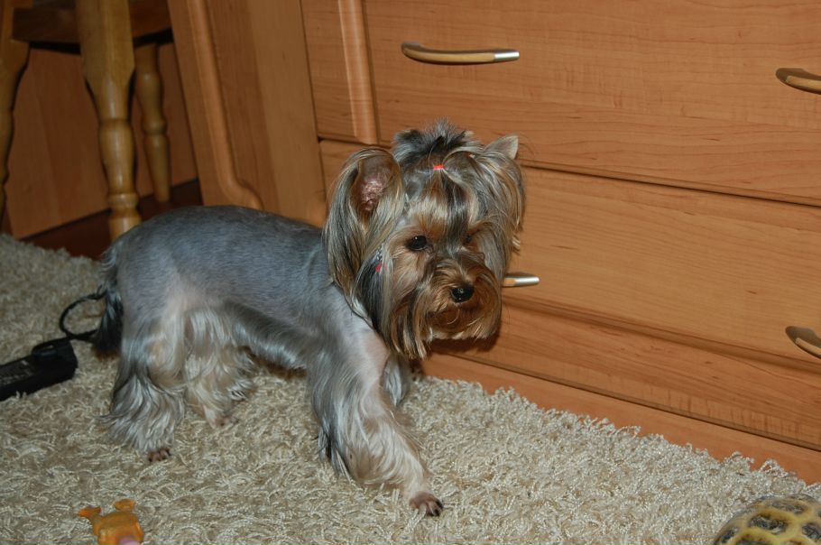 №84, Елена Коновалова, 39 лет, Ижевск №84, Елена Коновалова, 39 лет, Ижевск