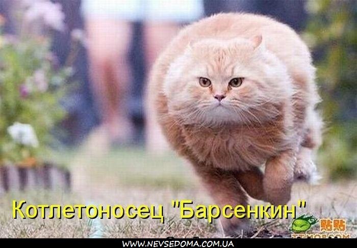 Андрей Громаков | Славный