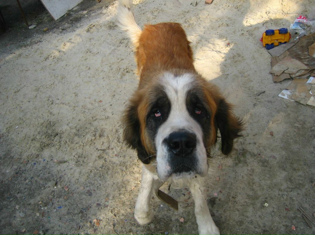 Вероника Овчарова | Санкт-Петербург