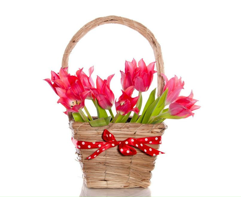 Ирина Армашова | Кемерово