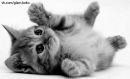 №13 Иришка Гредина 08.01.1991: профиль, фото, статус - ВКонтакте