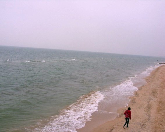 №102, Ирина Васильева, Дубна №102, Ирина Васильева, Дубна