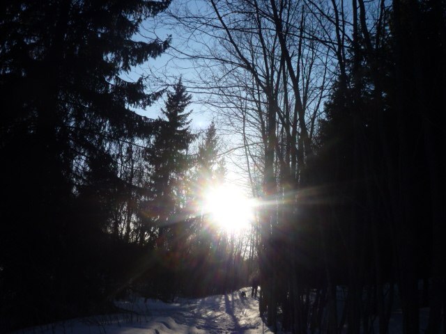 Алексей Филиппов | Архангельск