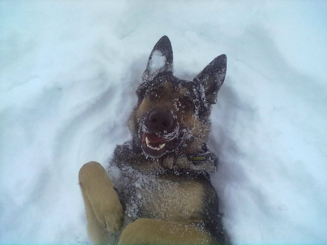 Стас Титоренко Дядько_Зидан | Гомель