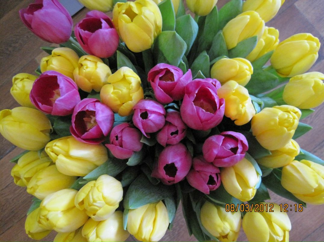 Елена Артемьева | Екатеринбург