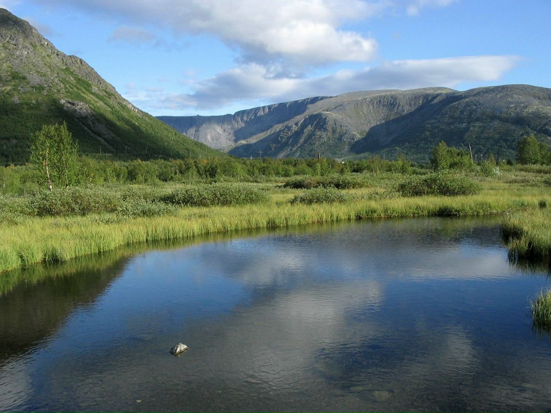 Эдуард Логунов | Кировск