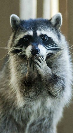 Екатерина Григорова | Москва