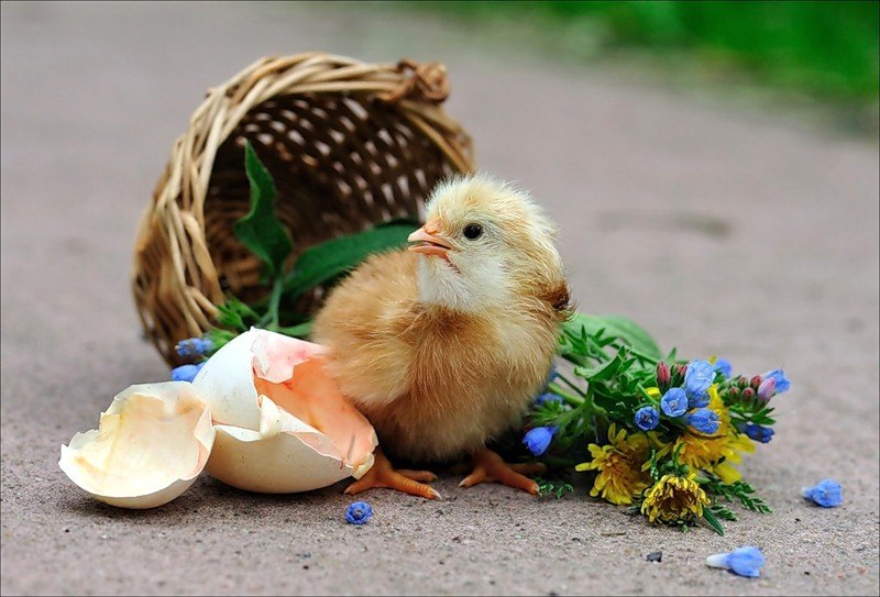 Марина Кондратьева | Нижний Новгород