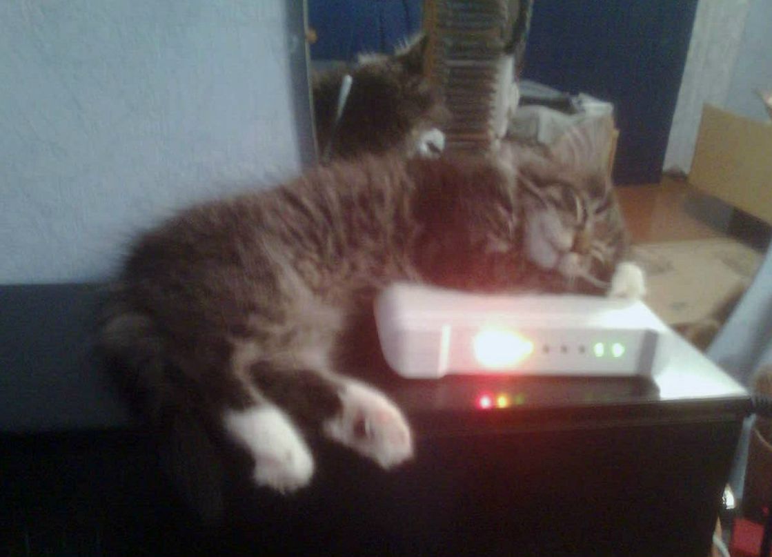 Андрей Шелег | Чисть