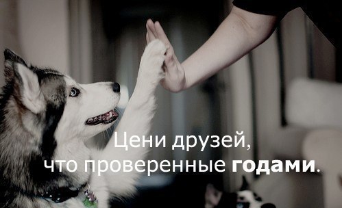 Рома Аникин | Ростов-на-Дону
