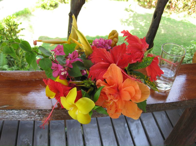 Александра Астапович | Санкт-Петербург