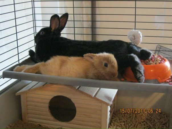 №84, Елена Кириллова, Санкт-Петербург №84, Елена Кириллова, Санкт-Петербург