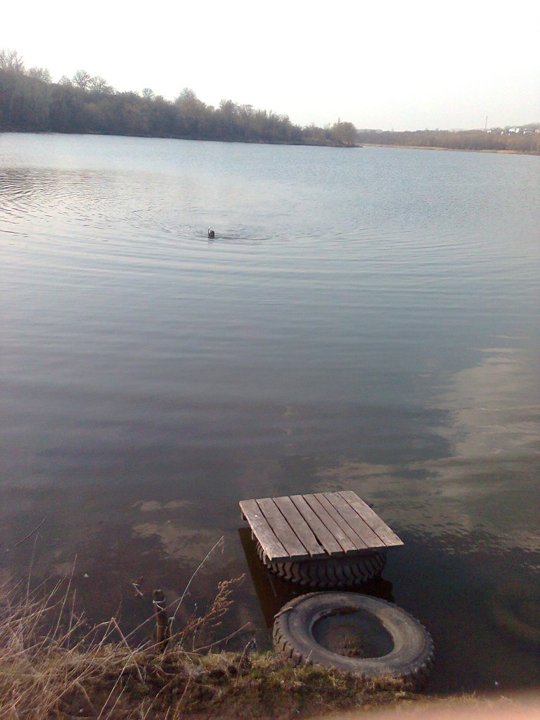 Максим Остапенко | Курск