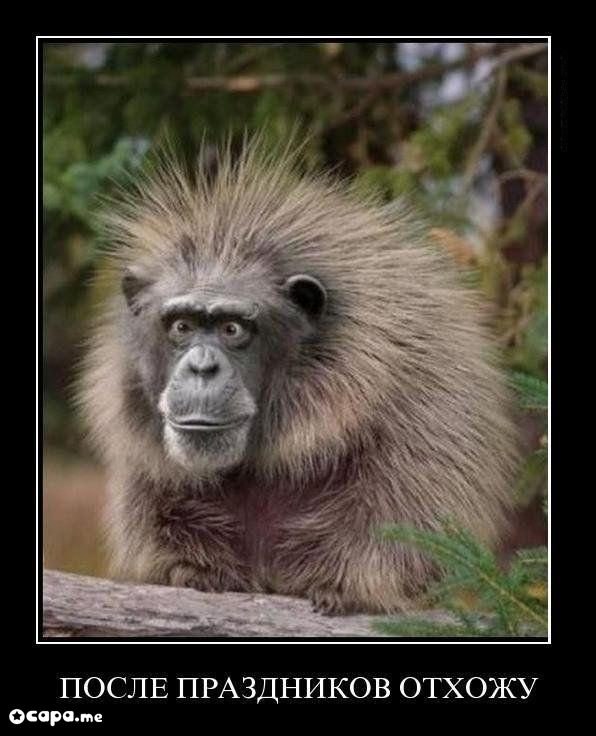 Александр Леонов | Москва