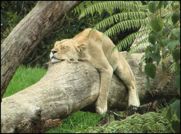 №10, Наталия Хорева №10, Наталия Хорева