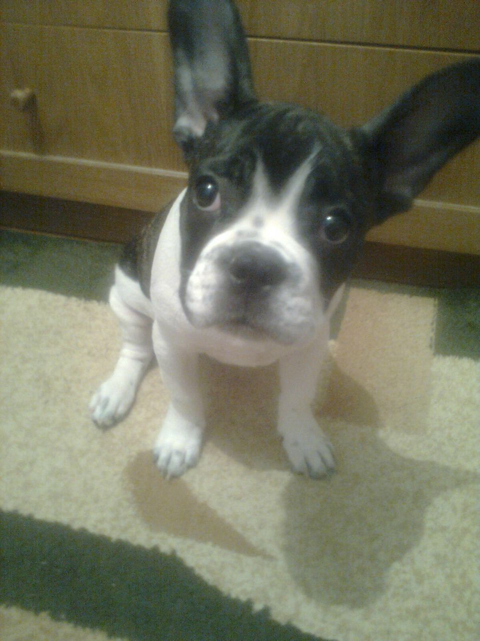 Надя Краморенко | Актау