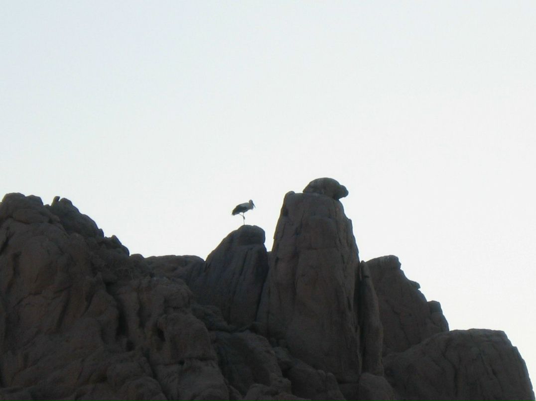 Виталина Лобода | Киев