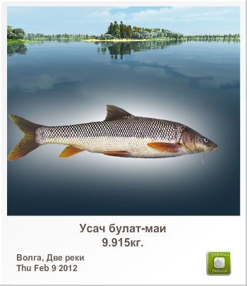 Русич Русич | Орёл