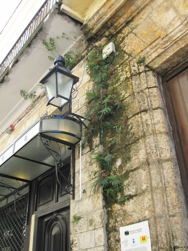 Витя Макаренко | Москва