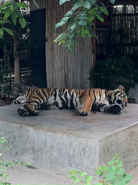 №95, Юра Кукушкин, 39 лет, Санкт-Петербург №95, Юра Кукушкин, 39 лет, Санкт-Петербург