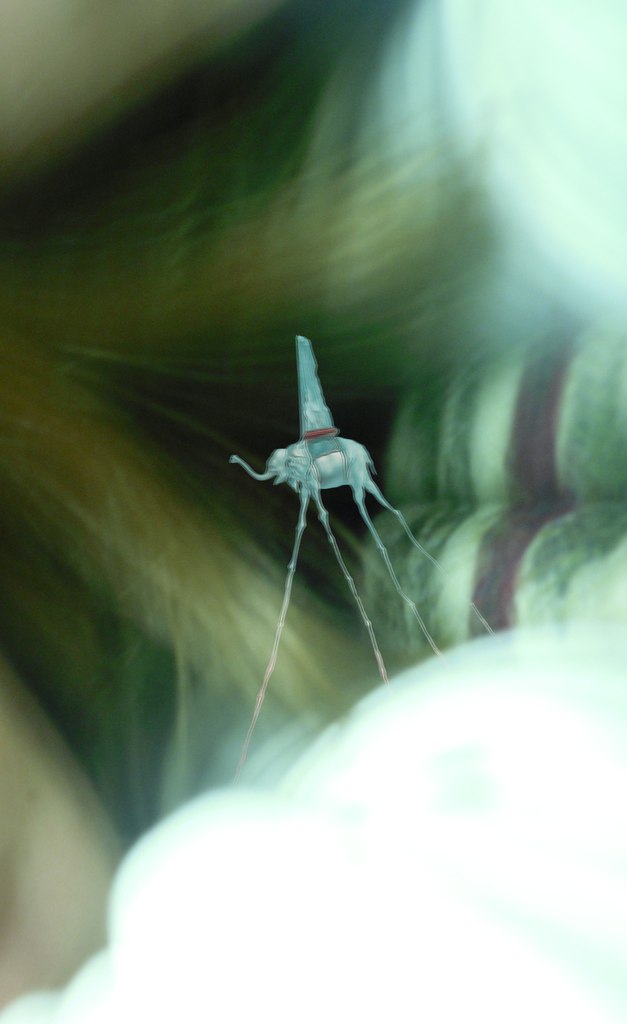 Артур Сирин Кай | Санкт-Петербург