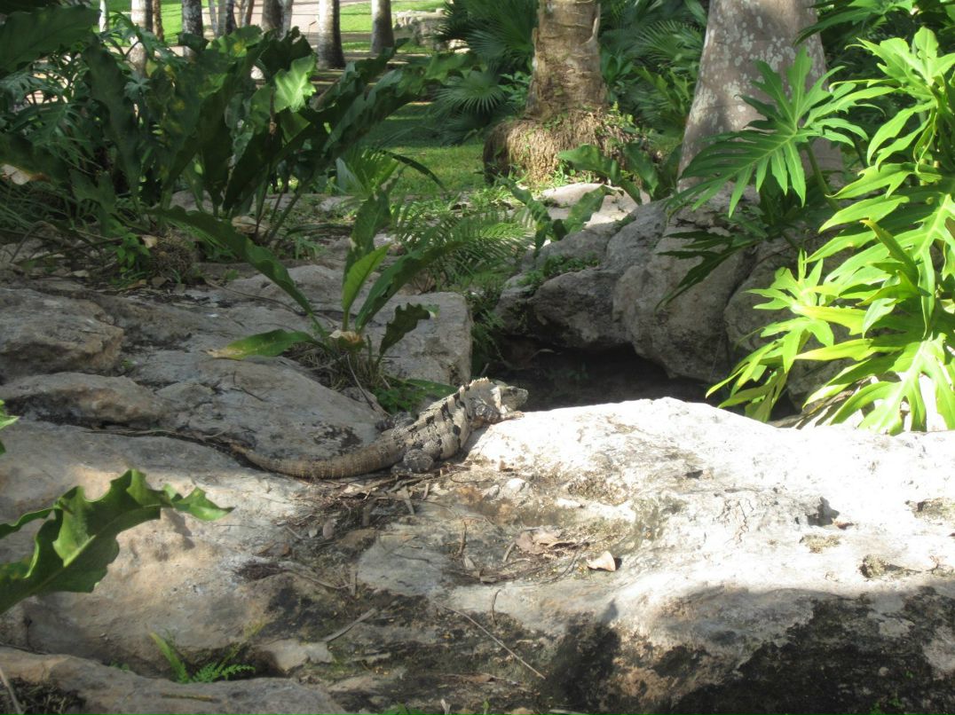 Ольга Чернышова | Воронеж