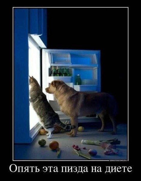 Алеся Сергеева ♥♥♥ | Киев