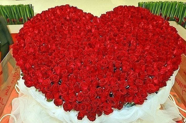 №39, Маряна Паславська №39, Маряна Паславська