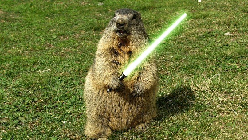 Сергей Шпанский | Санкт-Петербург