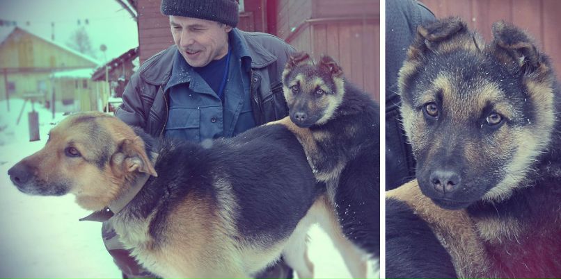 Pavel Krasnov | Санкт-Петербург