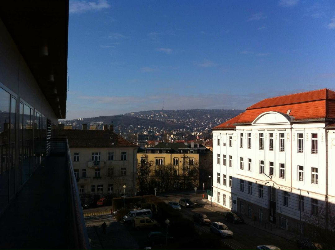 Александр Тимакин | Санкт-Петербург