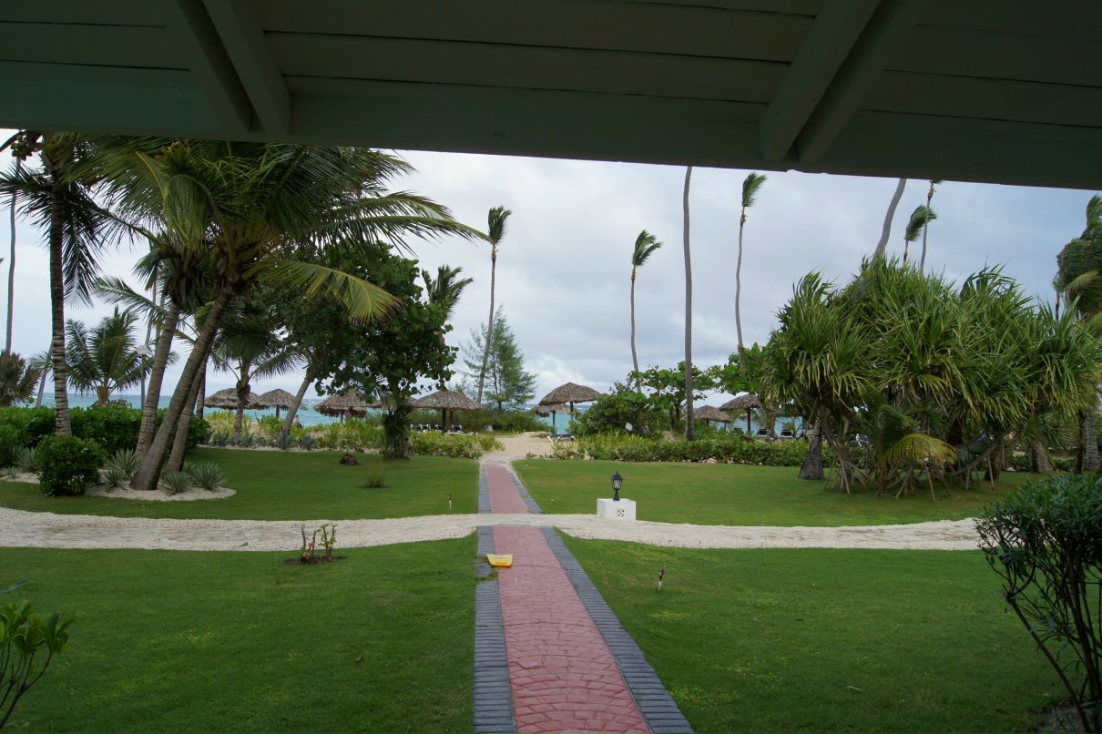 Максим Пинчук | Санкт-Петербург