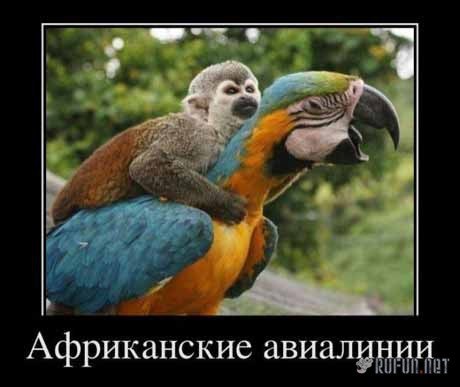 Роман Адмиралов | 