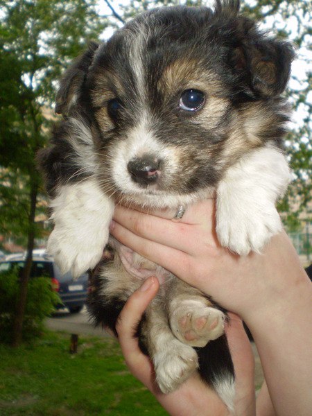 Мария Попова | Санкт-Петербург