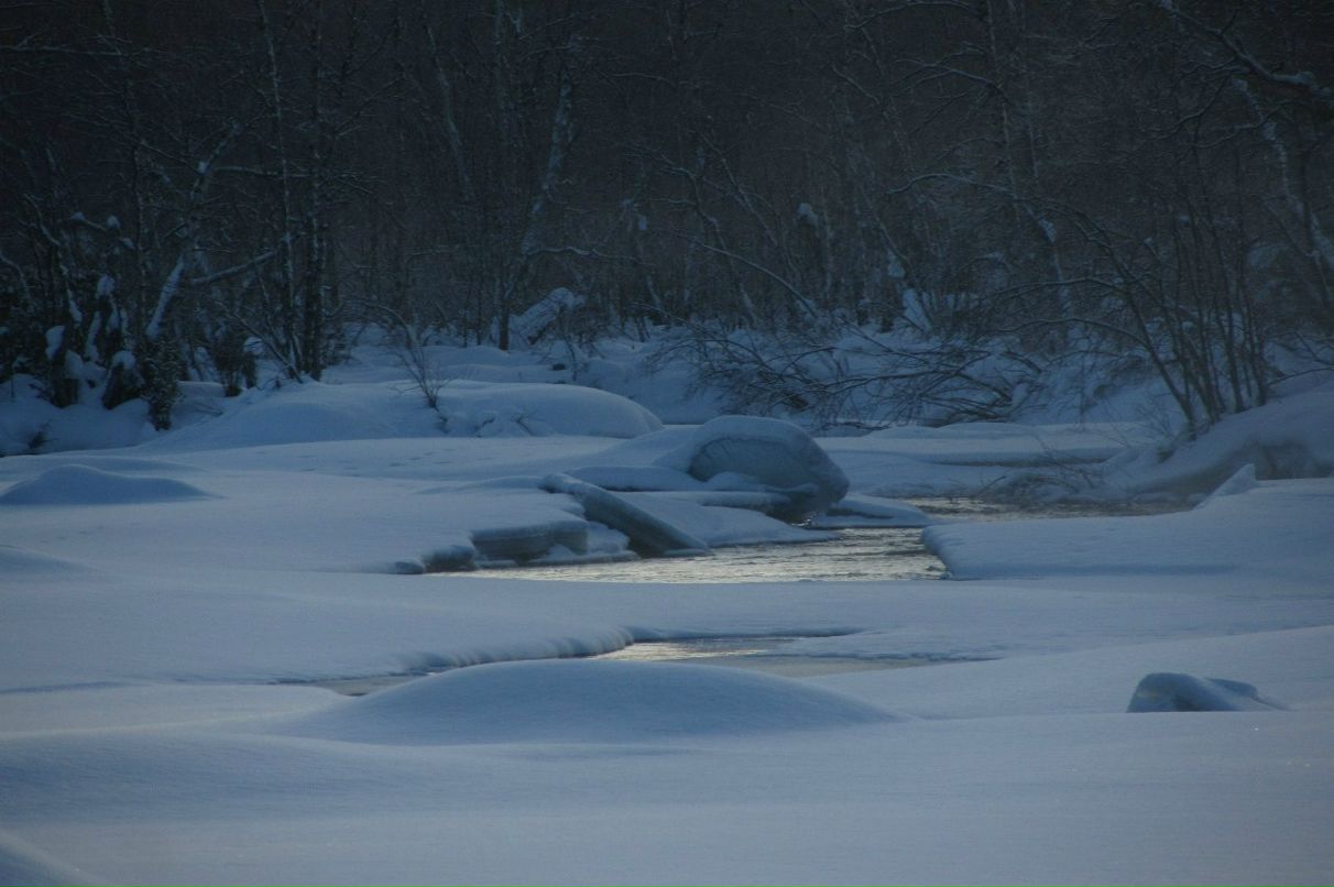 Арсений Петрик | Харьков