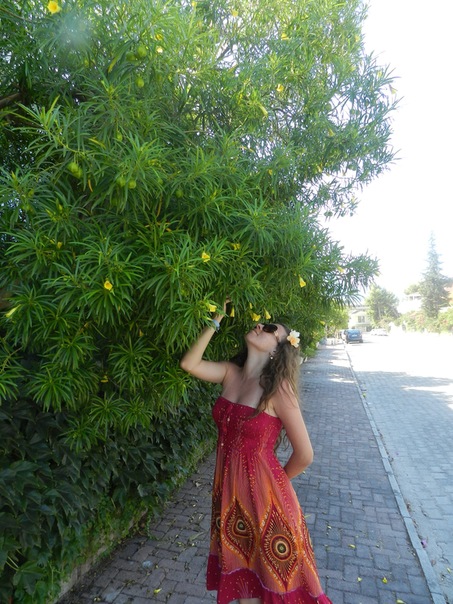 №16, Екатерина Брощенко №16, Екатерина Брощенко