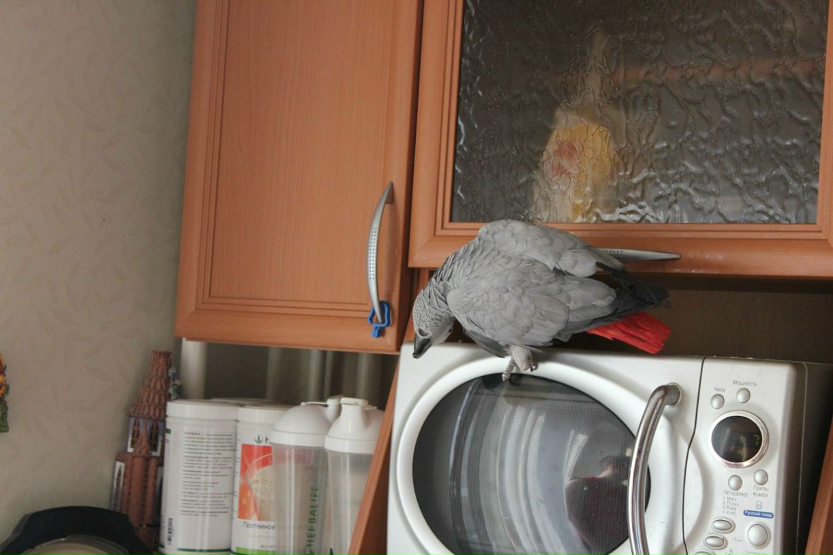 Лена Щеклеина | Екатеринбург