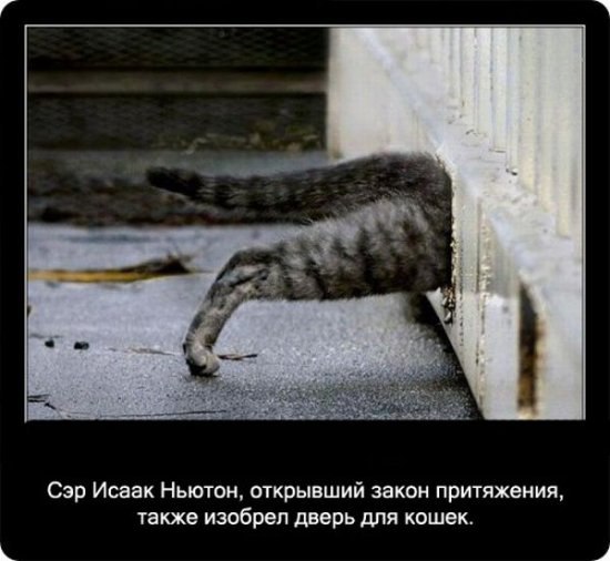 Ольга Банкова | Пенза