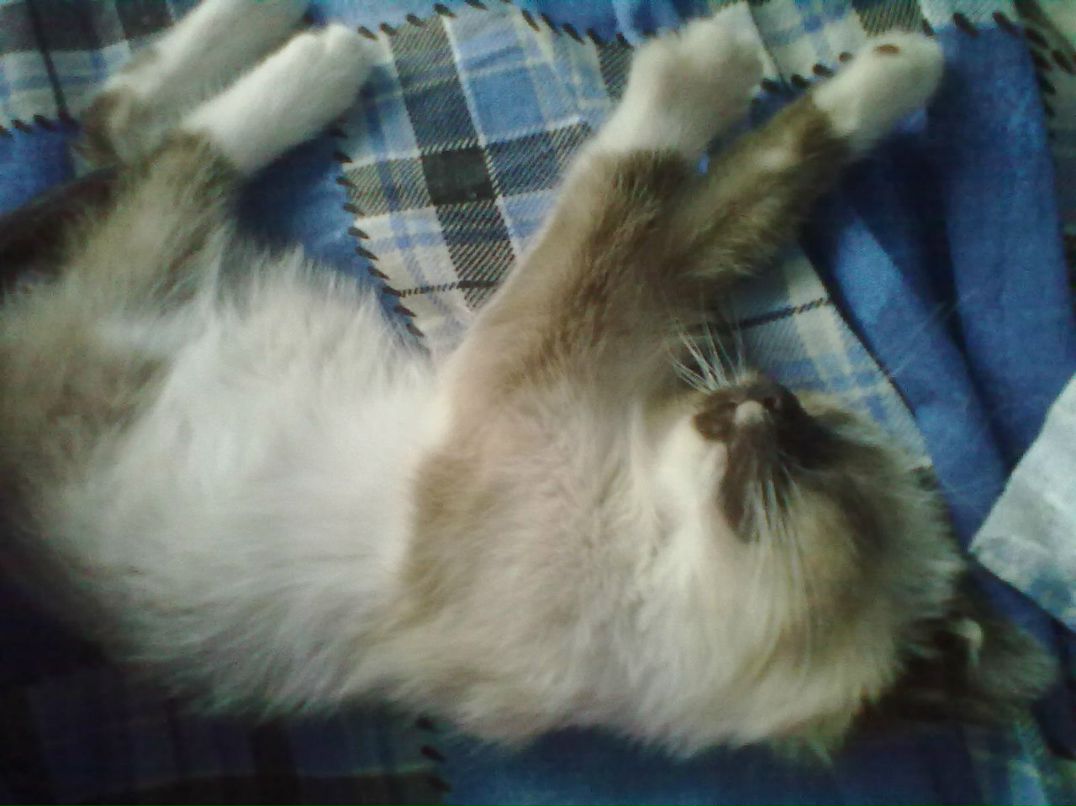 Мария Мелюх | Минск