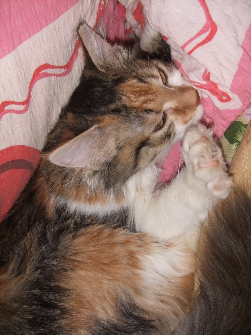 Анна Бучкова | Рязань