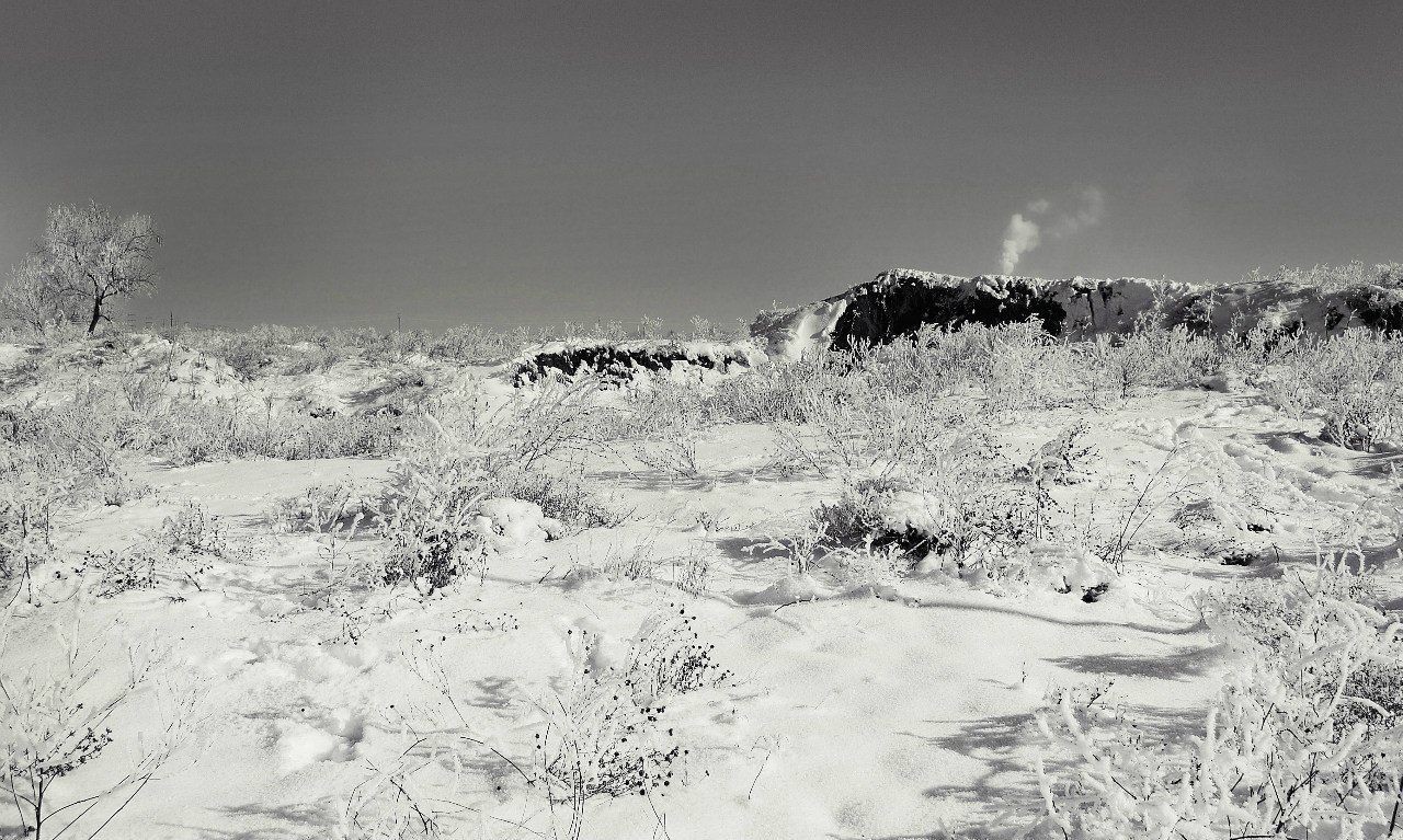 Таня Дудник | 