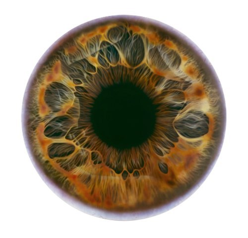 Вероника Васютина | Тюмень